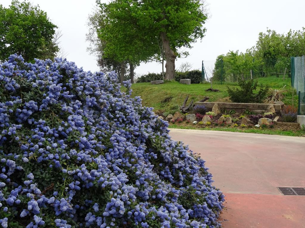Mendexa Camping & Bungalows Leagi מראה חיצוני תמונה
